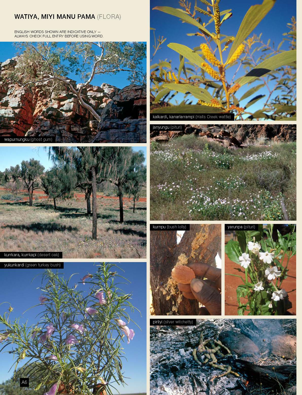 Warlpiri Encyclopaedic Dictionary -