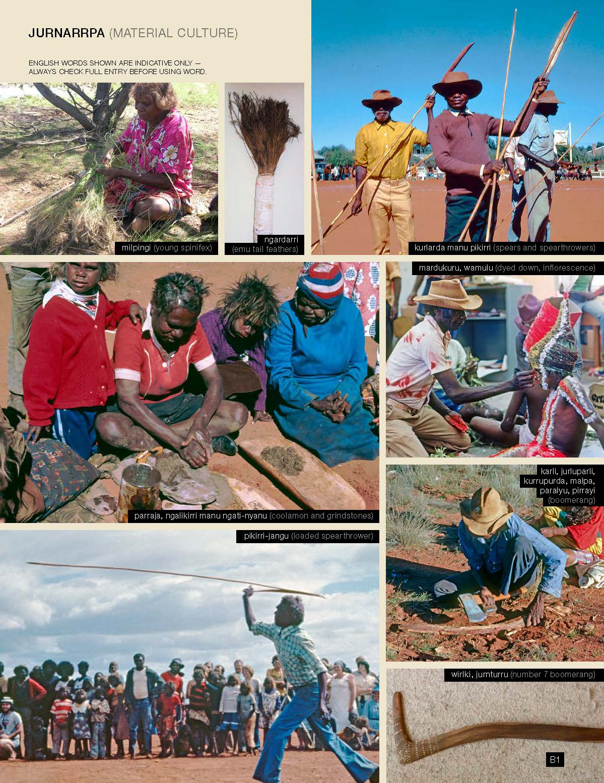 Warlpiri Encyclopaedic Dictionary -