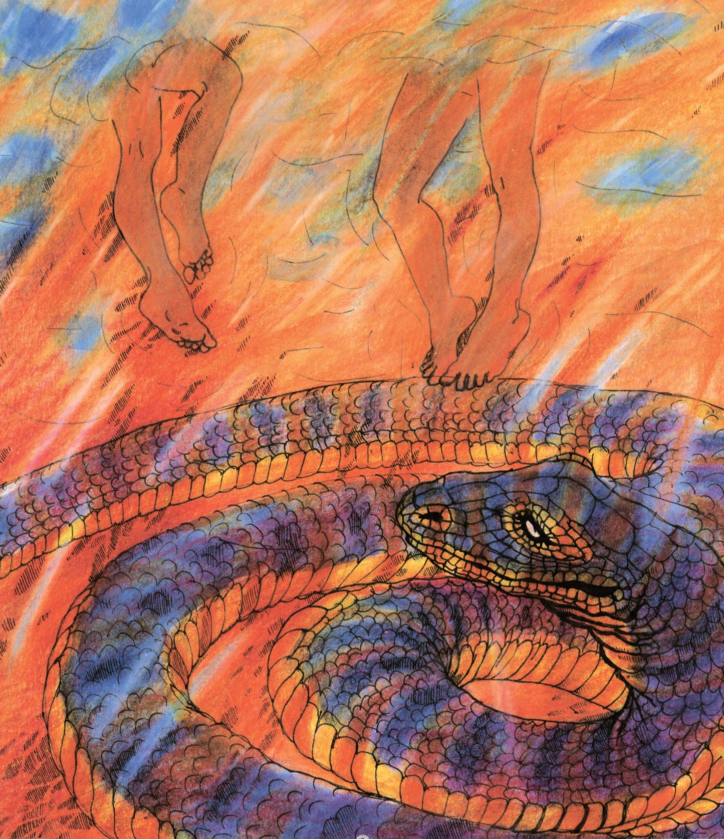 Wunambi the Water Snake -