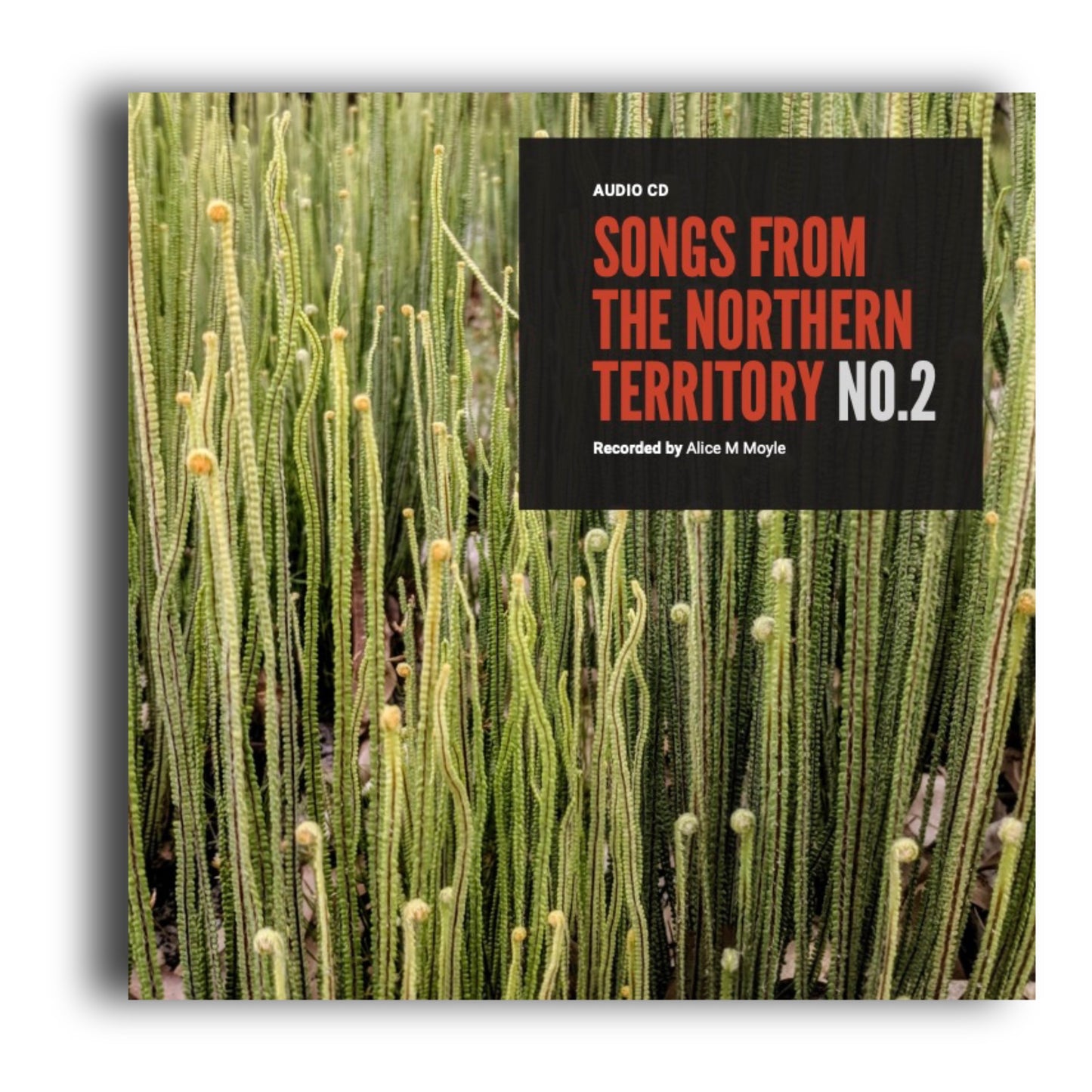 Songs from the Northern Territory No.2 -