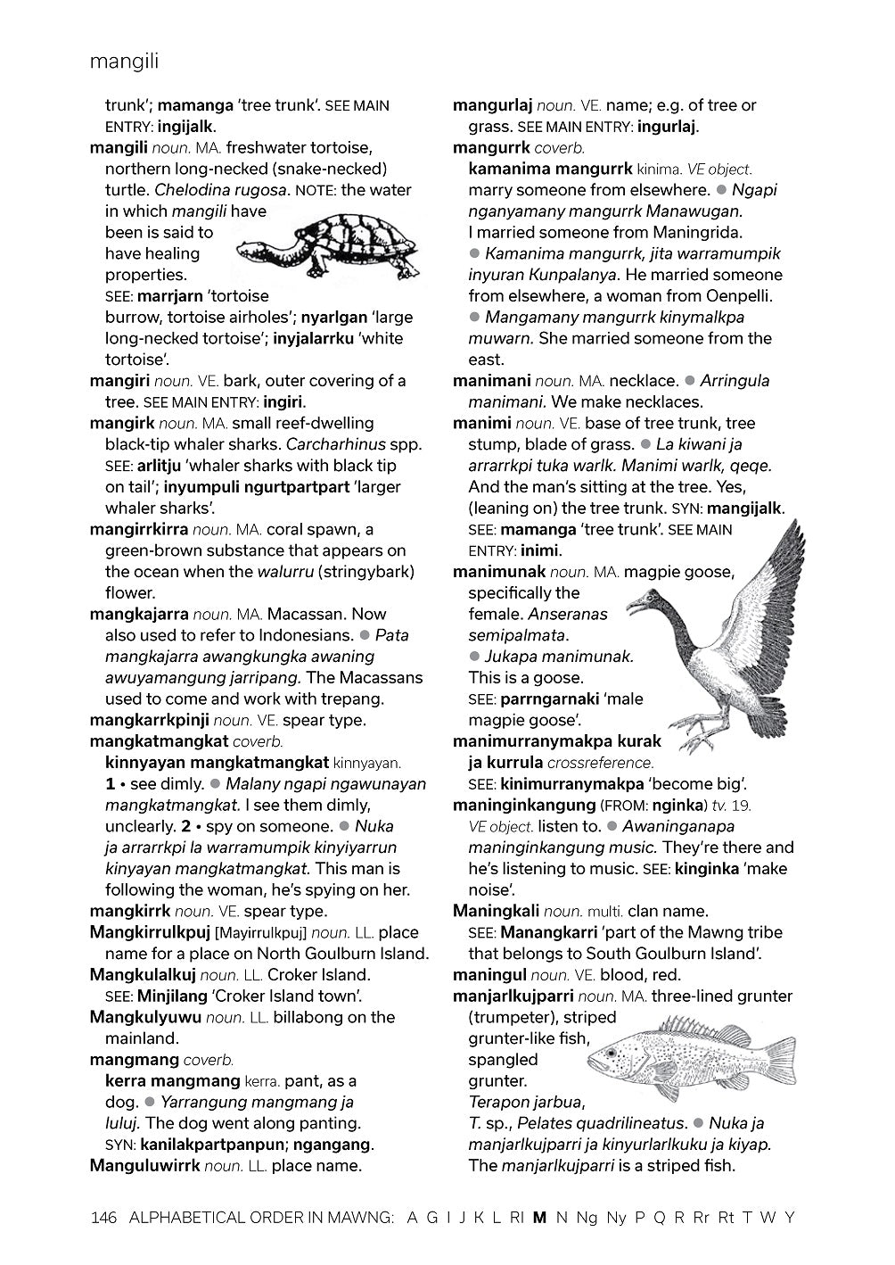 Mawng Dictionary -