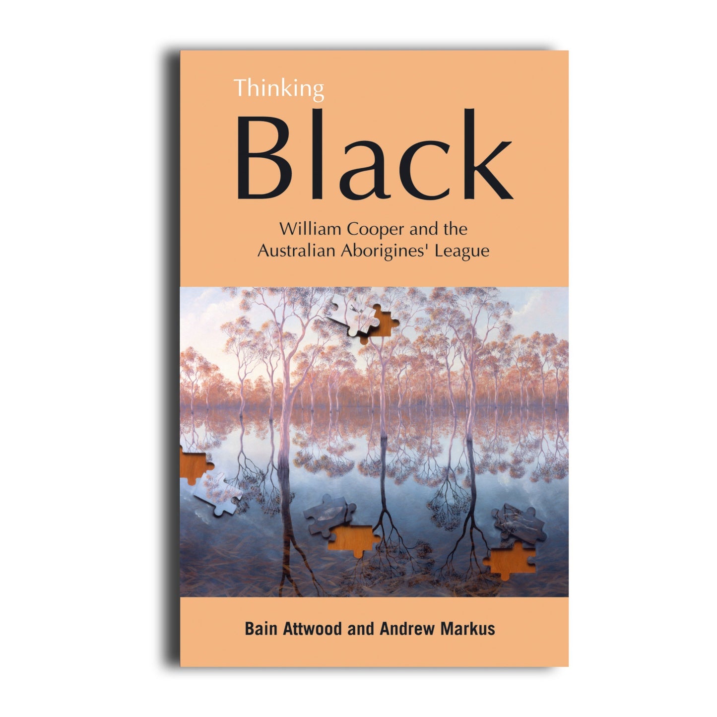 Thinking Black -