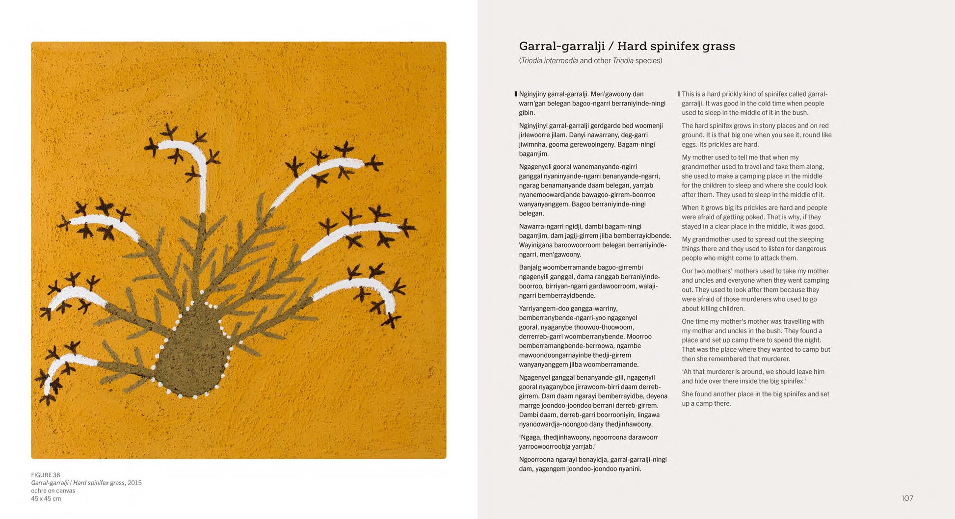 Gija Goowoolem doo Minybernem – Gija Trees and Grasses -