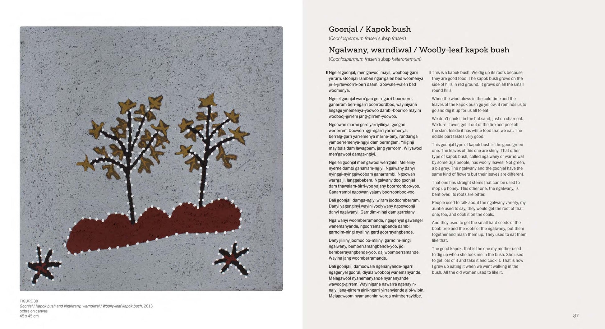 Gija Goowoolem doo Minybernem – Gija Trees and Grasses -