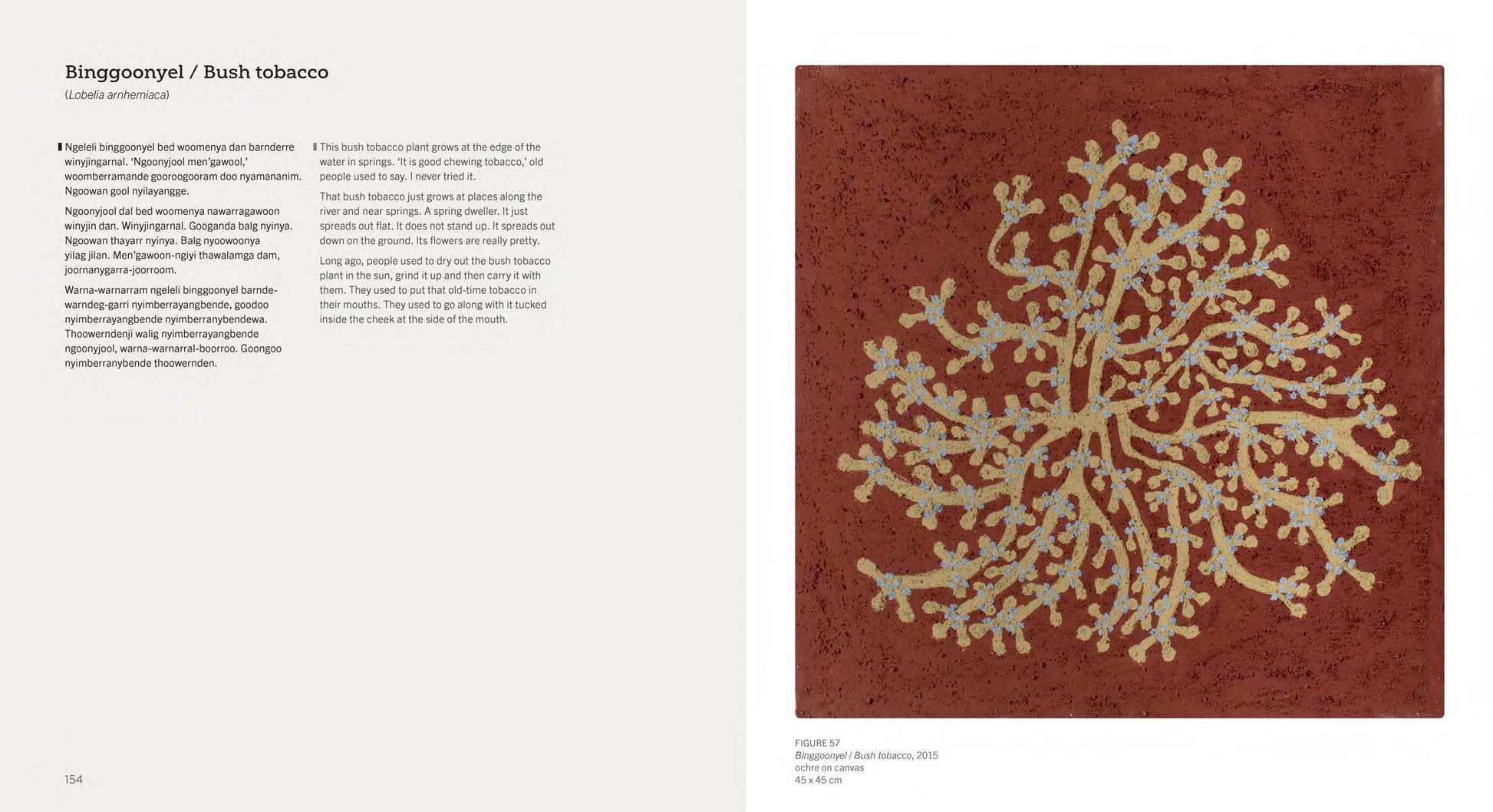 Gija Goowoolem doo Minybernem – Gija Trees and Grasses -