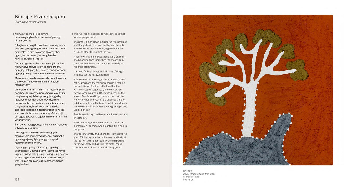 Gija Goowoolem doo Minybernem – Gija Trees and Grasses -