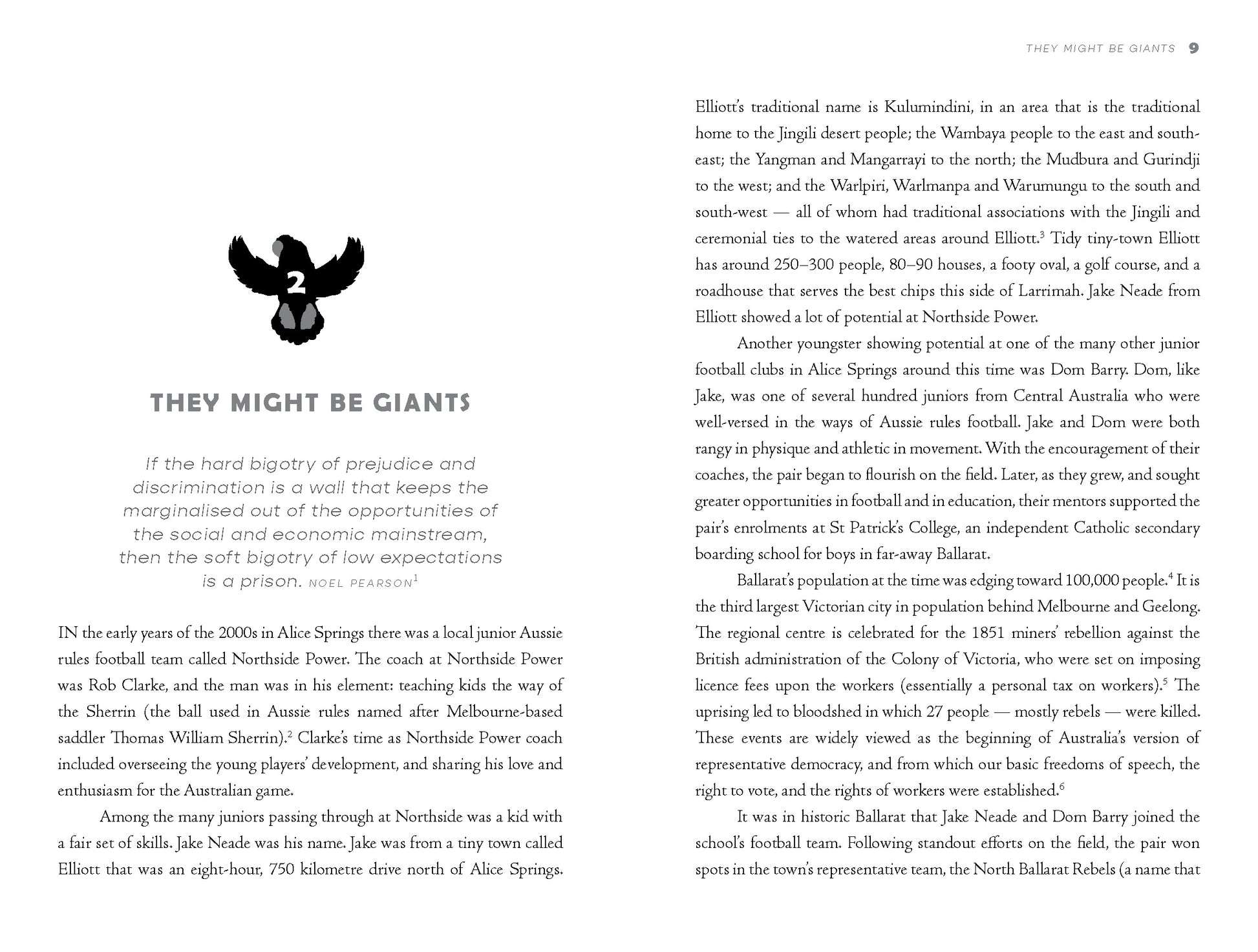 Redtails in the Sunset -