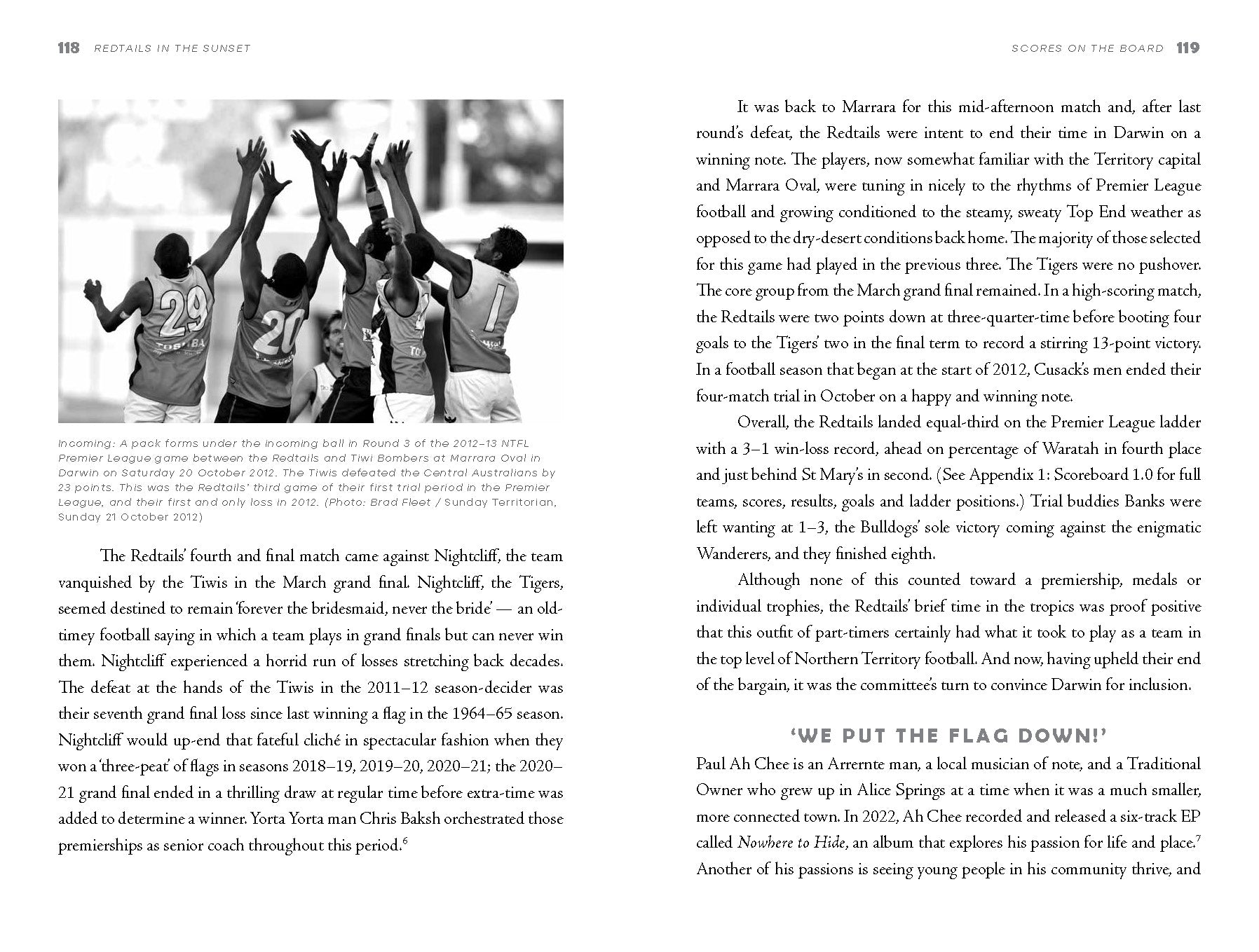 Redtails in the Sunset -