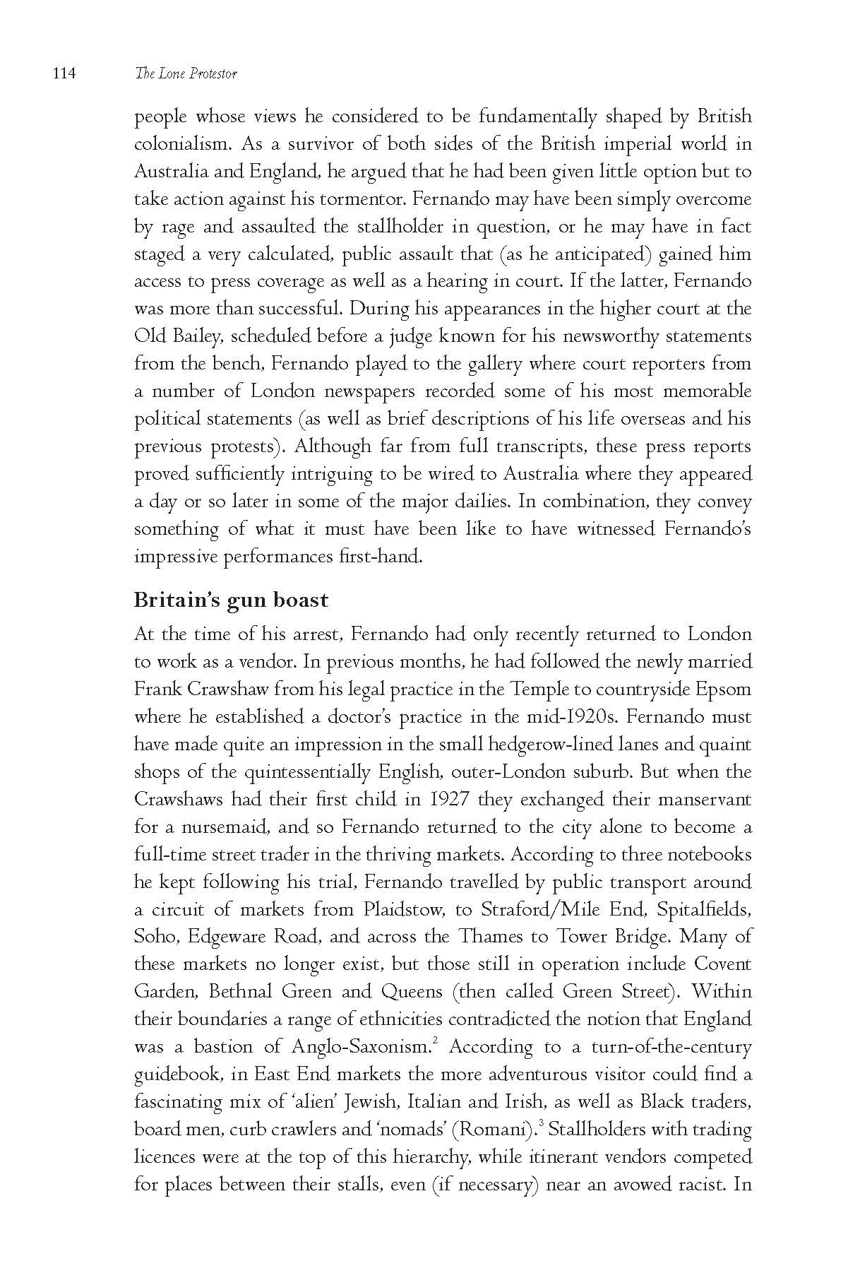 The Lone Protestor -