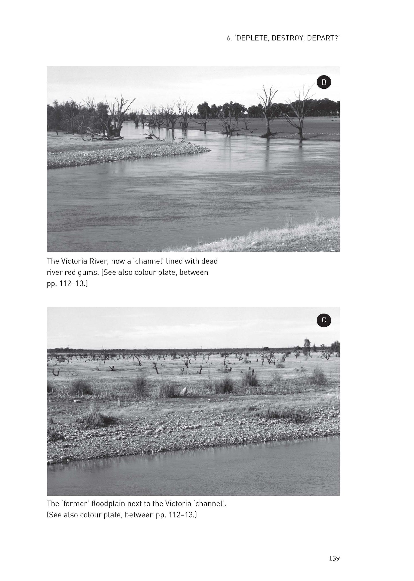 Murray River Country -