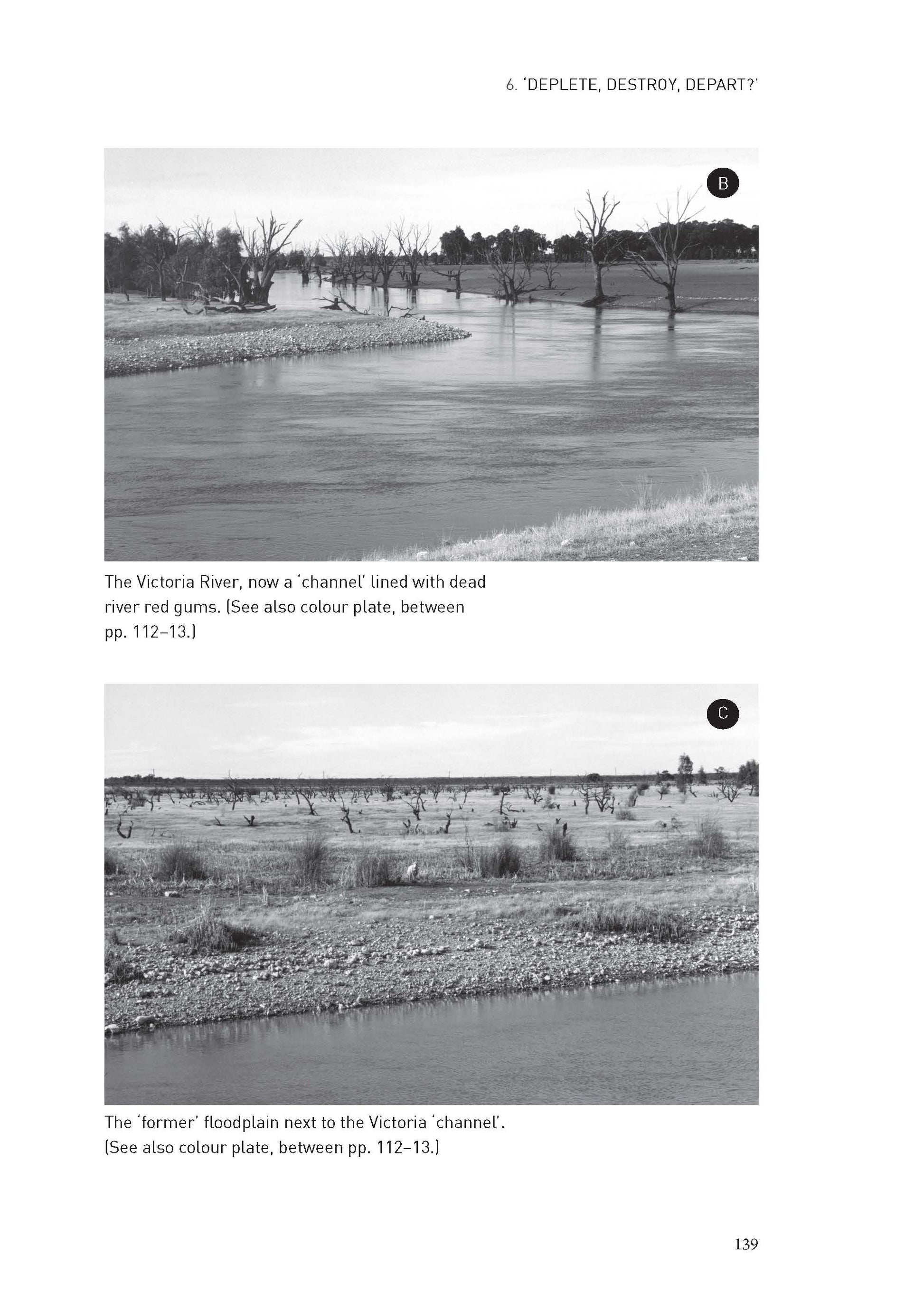 Murray River Country -