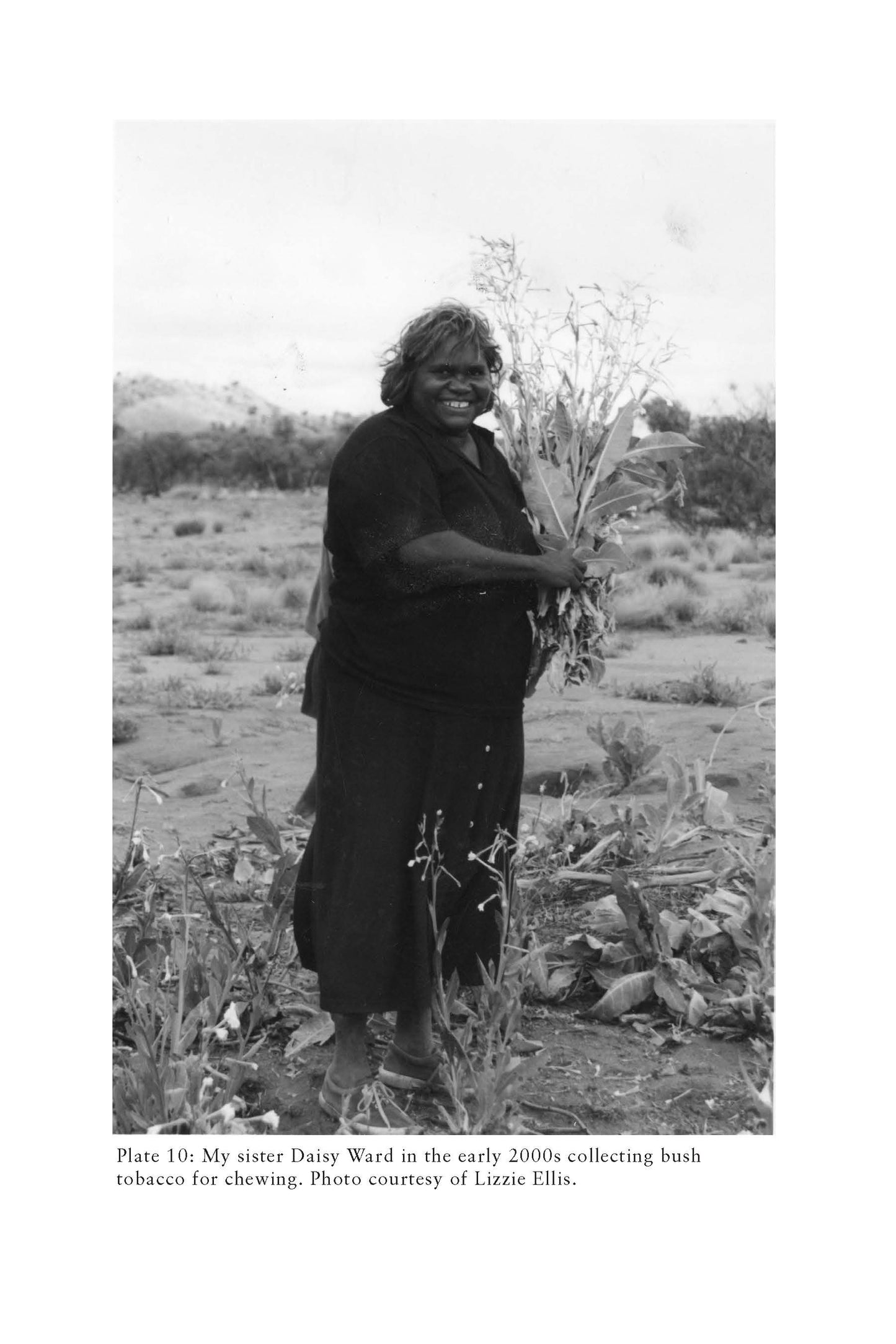 Pictures from my Memory -