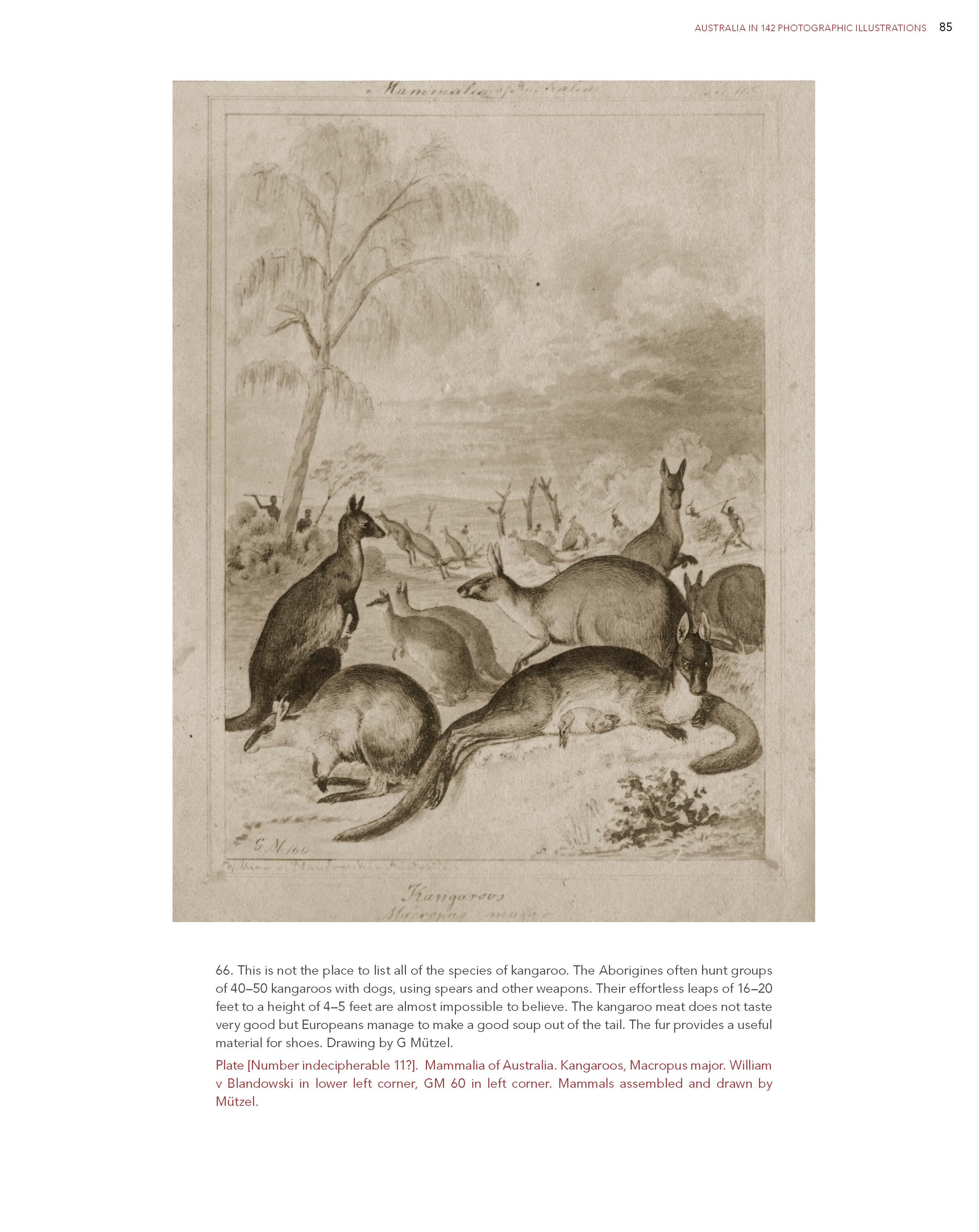 Australia – AIATSIS Shop