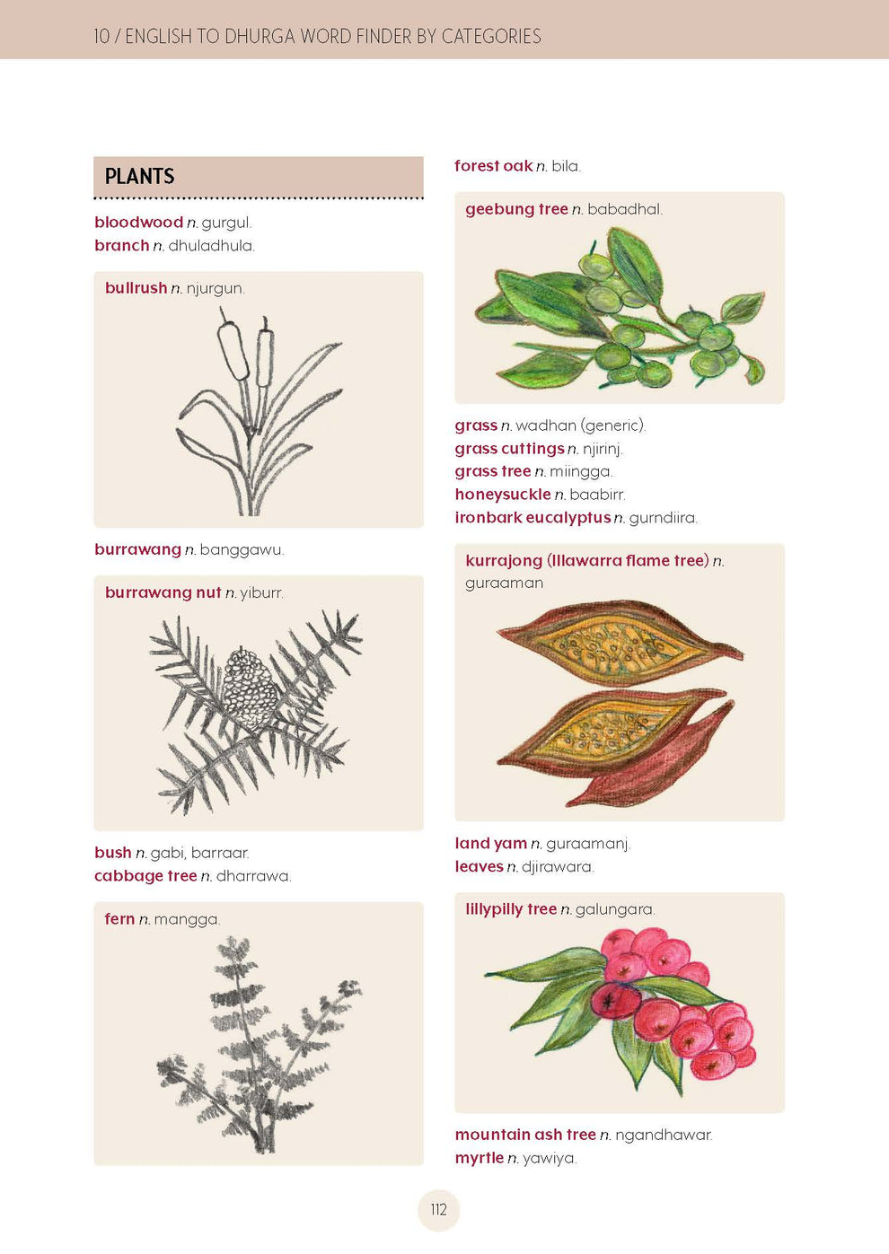 The Dhurga Dictionary and Learner's Grammar – AIATSIS Shop