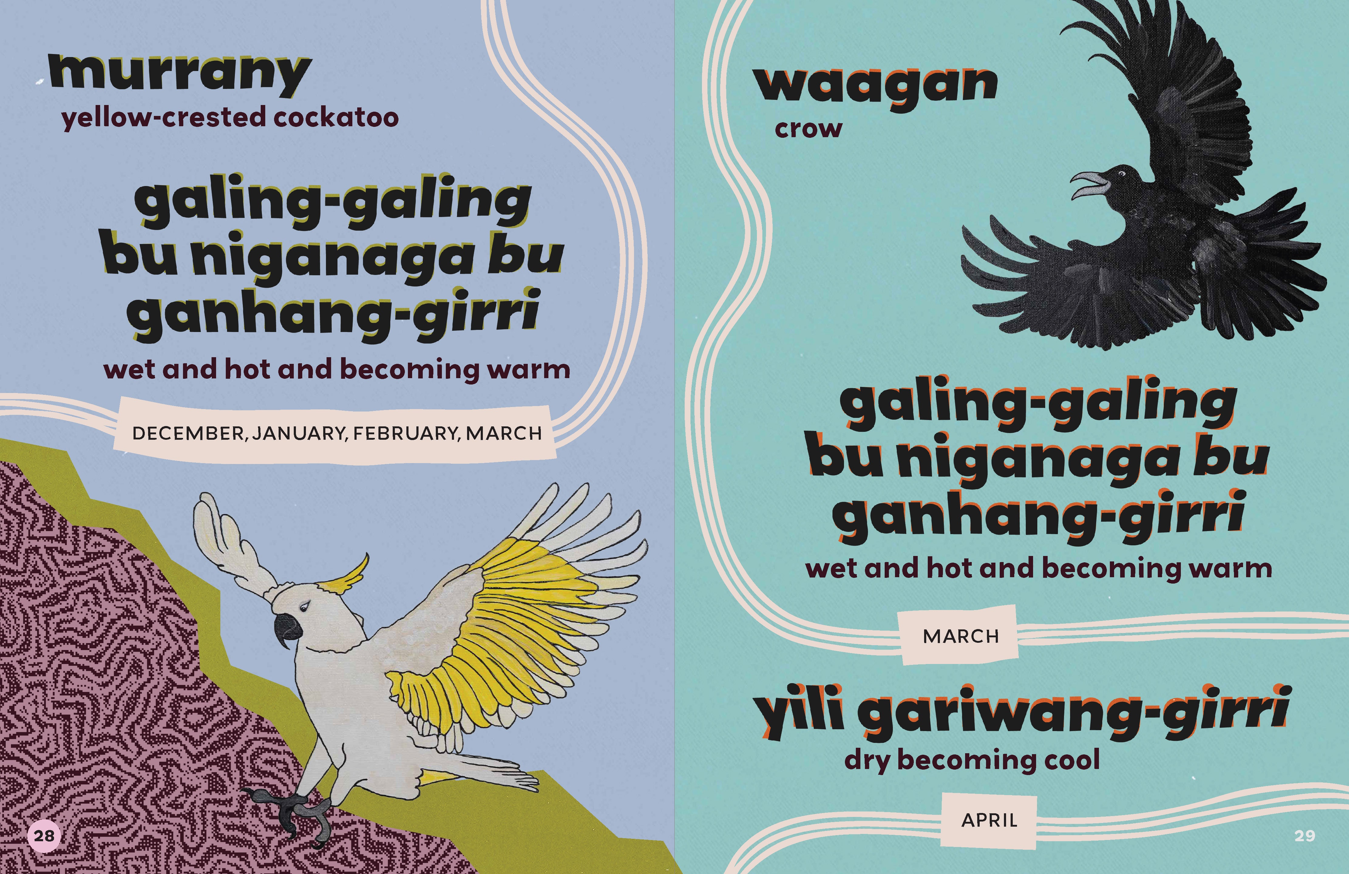 giwang – AIATSIS Shop